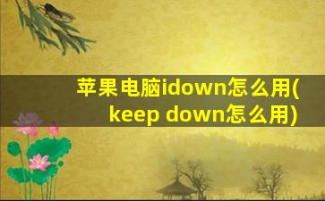 苹果电脑idown怎么用(keep down怎么用)